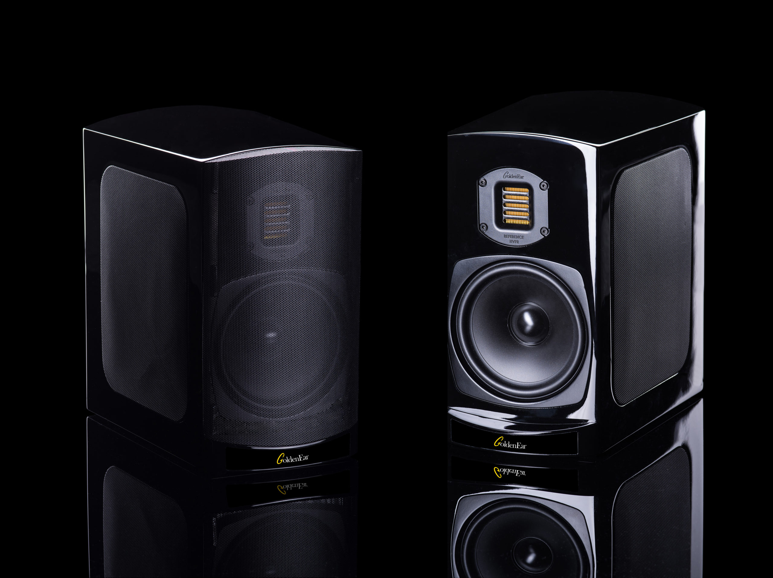 GoldenEar BRX